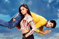 Brother Of Bommali Movie Photos